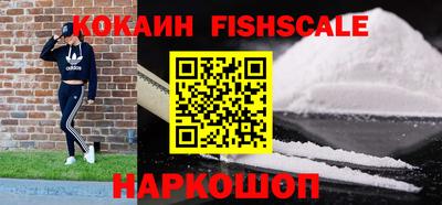 гидропоника Будённовск