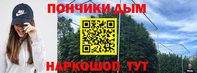 крисы Бузулук